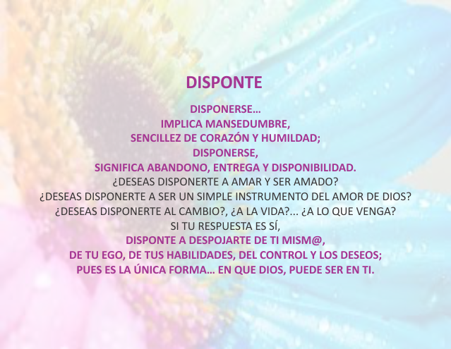 Disponte Diciembre 11 de 2012